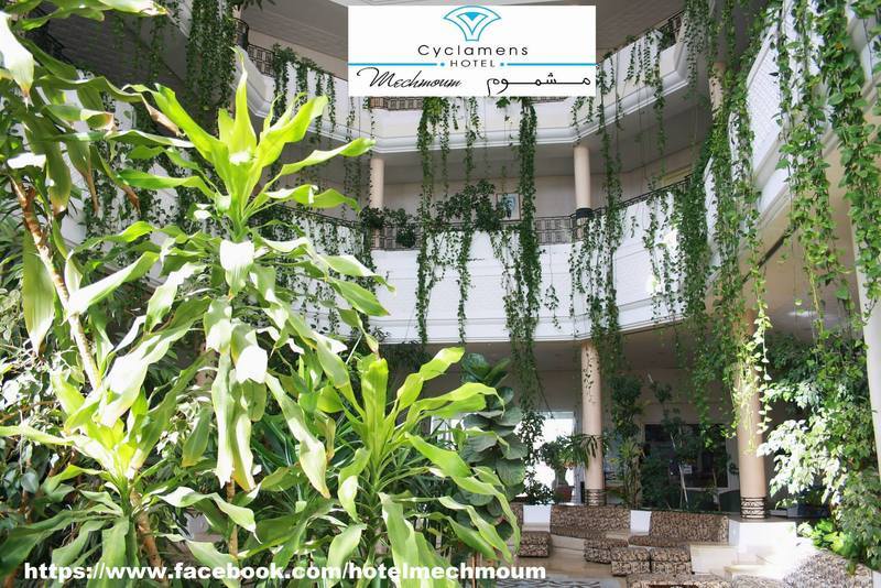 Cyclamens Mechmoum Hotel And Spa Χαμμαμέτ Εξωτερικό φωτογραφία
